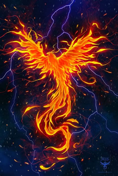 Phoenix Rage By Amorphisss Phoenix Wallpaper Phoenix Artwork Phoenix