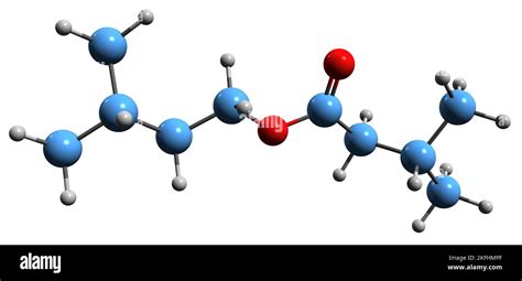 3D Image Of Isoamyl Isovalerate Skeletal Formula Molecular Chemical