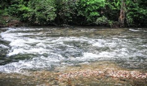 race    river piedmont trails