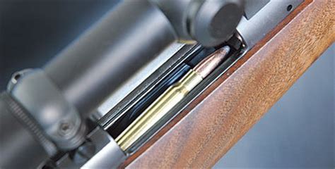 Truly Useful: The .338 Federal - Rifle Shooter