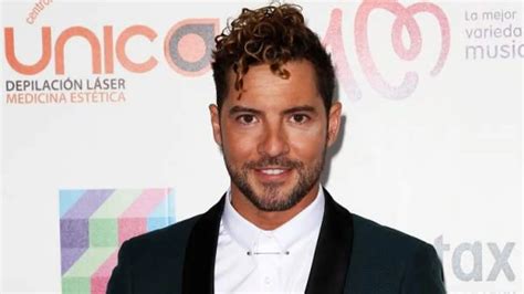 David Bisbal Demanda A Su Expareja Elena Tablada Y Pide Medidas De