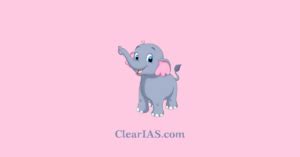 Project Elephant: All About Elephants - ClearIAS