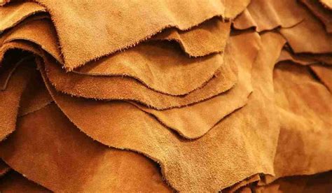 Buying The Latest Types Of Camel Hides From The Most Reliable Brands In