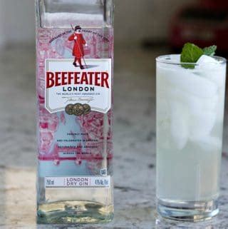 Classic Gin Fizz Recipe and Variations | Homemade Food Junkie