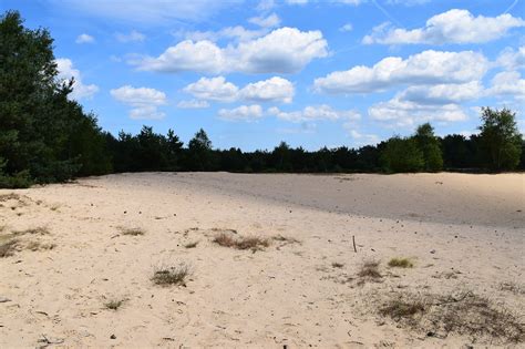 Radio Kootwijk Natuurgebieden In Nederland Van Heidevelden En Bossen