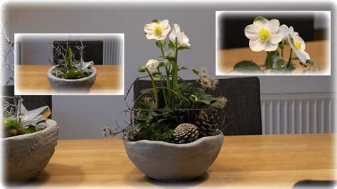 DIY Schalen Anleitung Deko Mit Amaryllis U Christrose YouTube