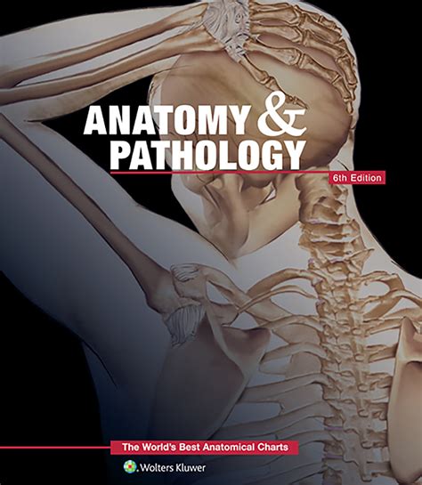 Anatomy & Pathology, 6th Edition - Biologyproducts.com