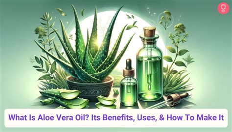 What Is Aloe Vera Oil Its Benefits Uses And How To Make It