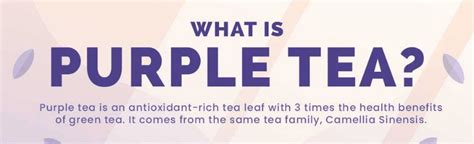 What Is Purple Tea Melbourne Dental House