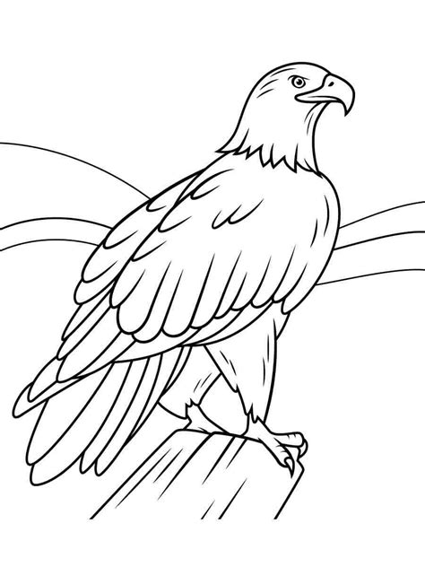 Bald Eagle Coloring Pages Printable For Free Download