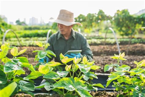 크롭라이프코리아 Croplife Korea 중국 유전자 변형 작물 재배 증가 움직임 보여