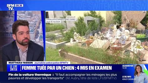 Gard une femme de 93 ans meurt après avoir été attaquée par un chien