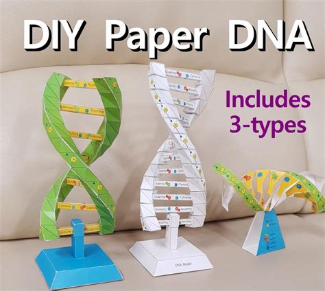 diy  paper dna models double hexlix adenine guanine cytosine