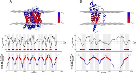 Prediction Of Membrane Protein Topology From First Principles Pnas