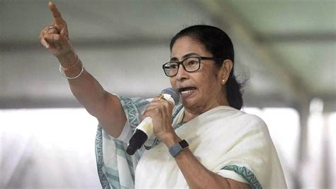 Mamata Banerjee बीजेपी करा सकती है समय से पहले लोकसभा चुनाव सीएम ममता बनर्जी का दावा Bjp Can