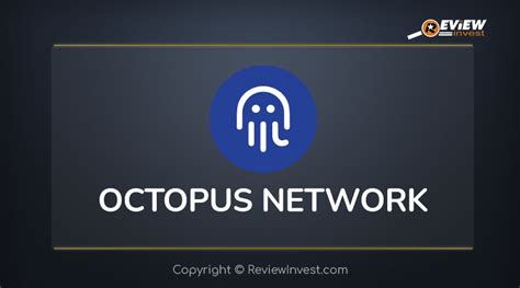 Octopus Network Oct L G Th Ng Tin Chi Ti T D N Octopus Network