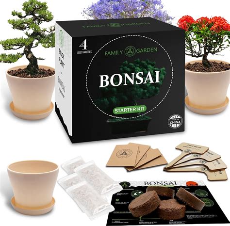 Bonsai Tree Kit 5 Bonsai Tree Seeds With Complete Plant