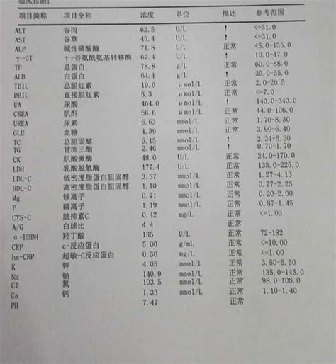 中庸是什么意思（中庸的真正含义） 布丁导航网