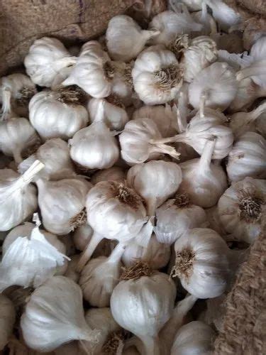 Fresh Garlic Lassun At Rs 50000 Ton Fresh Garlic In Nagpur Id 20158184348