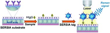 Aunp Array Coated Substrate For Sensitive And Homogeneous Sers