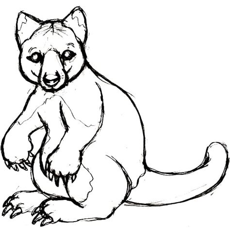 Easy Tree Kangaroo Coloring Page - Free Printable Coloring Pages for Kids