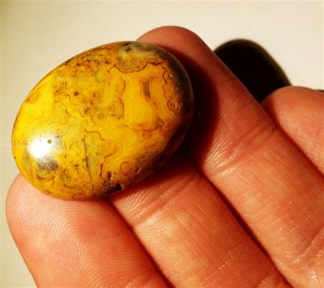 Crazy Lace Agate Cabochon Golden Yellow Sunshine Fall