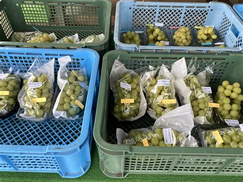 にっこり販売中！！｜大時果樹園 栃木県宇都宮市の梨・ぶどう農園