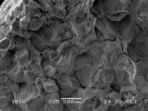 SEM Image Of Fracture Surface For The Specimen Tested At 800 C