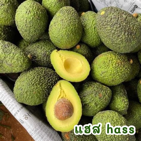 พร้อมส่ง‼️ 1kg อโวคาโด้ แก่จัด Avocado🥑 แฮส Hass Ta21 034 แฮส บูท7 บัคคาเนีย Shopee Thailand