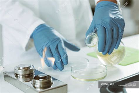 Hands Of Microbiologist Pouring Agar Into Petri Dish In Laboratory