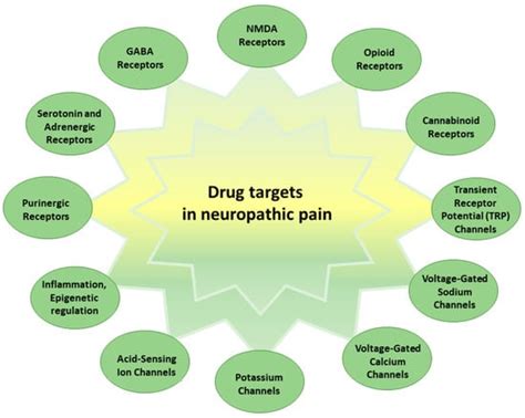 Pharmaceutics Free Full Text Novel Drug Targets And Emerging Pharmacotherapies In