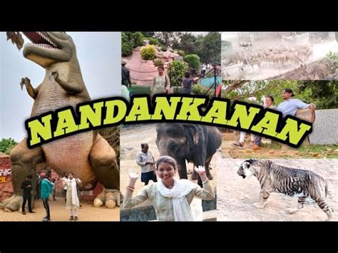 Nandankanan Dalan Sen Huy Lena Bhubaneswar Odisha Youtube