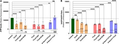 Frontiers Molecular And Cellular Response Of The Myocardium H C