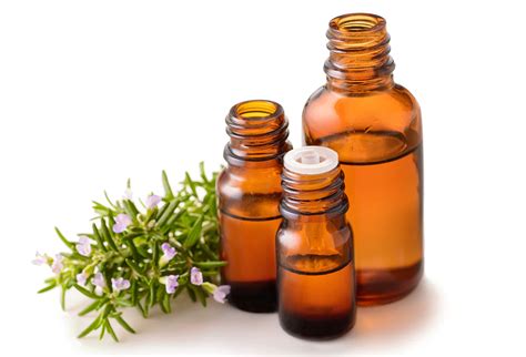 Which Rosemary Oil Is Best For Hair Chicago Land Gardening