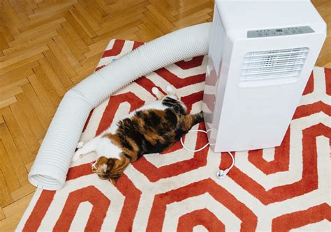 Cooling How To Vent A Portable Air Conditioner Without A Window