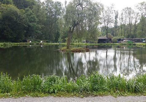 Trout Master Forellenseen Forellenhof M Hlenweiher