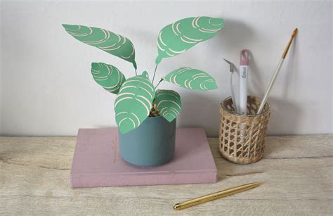 Cricut 5 Ways To Make Paper Plants Hobbycraft Uk In 2022 Paper