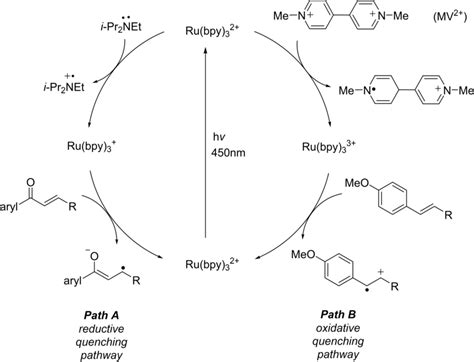 Reductive And Oxidative Electron Transfer Pathways Download