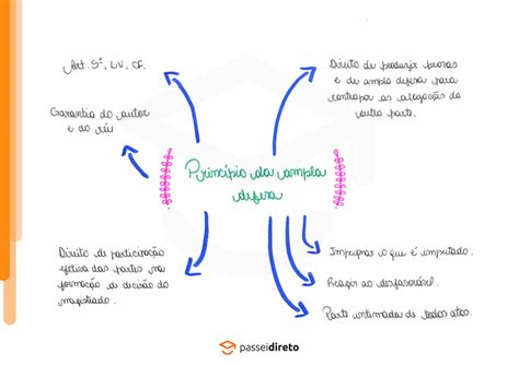 Princ Pio Da Concentra O Da Defesa Braincp