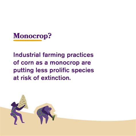 Monocropping is the farming practice of growing a single crop year after year on the same land ...