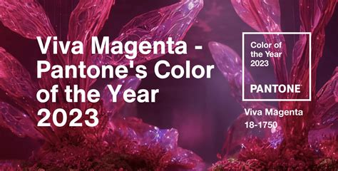 Get inspired by Pantone Color of the Year 2023 | The Review Wire