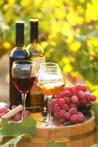 Dutchess County Wineries - Sleight Farm