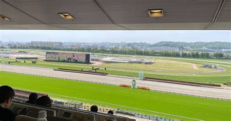 6月12・13日 🐎中央、地方競馬配信チャット🐎 ※2日間配信チャット🐎🔥｜🐴ウマタイムa君🐴