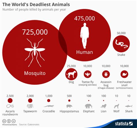 Mosquito Genus And Species In The Us