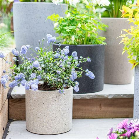 Granito Cylinder Garden Pots Planters Apta