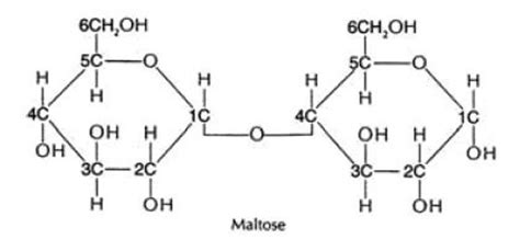 Cellobiose - Alchetron, The Free Social Encyclopedia