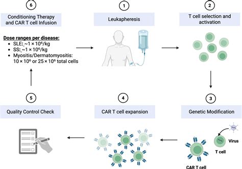 Frontiers | Innovations in immunotherapy for autoimmune diseases