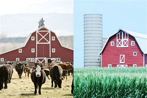 The Difference Between Ranch And Farm Talkcitee