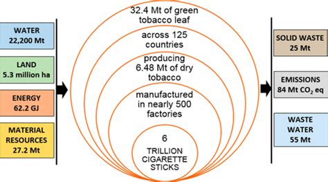 Cigarette Smoking An Assessment Of Tobaccos Global Environmental