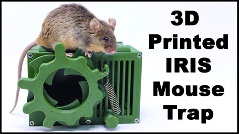 3d Printed Iris Mouse Trap With Modifications Mousetrap Monday Youtube